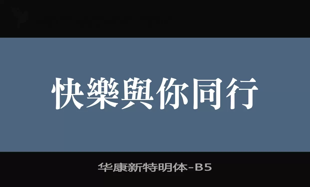 华康新特明体字型檔案