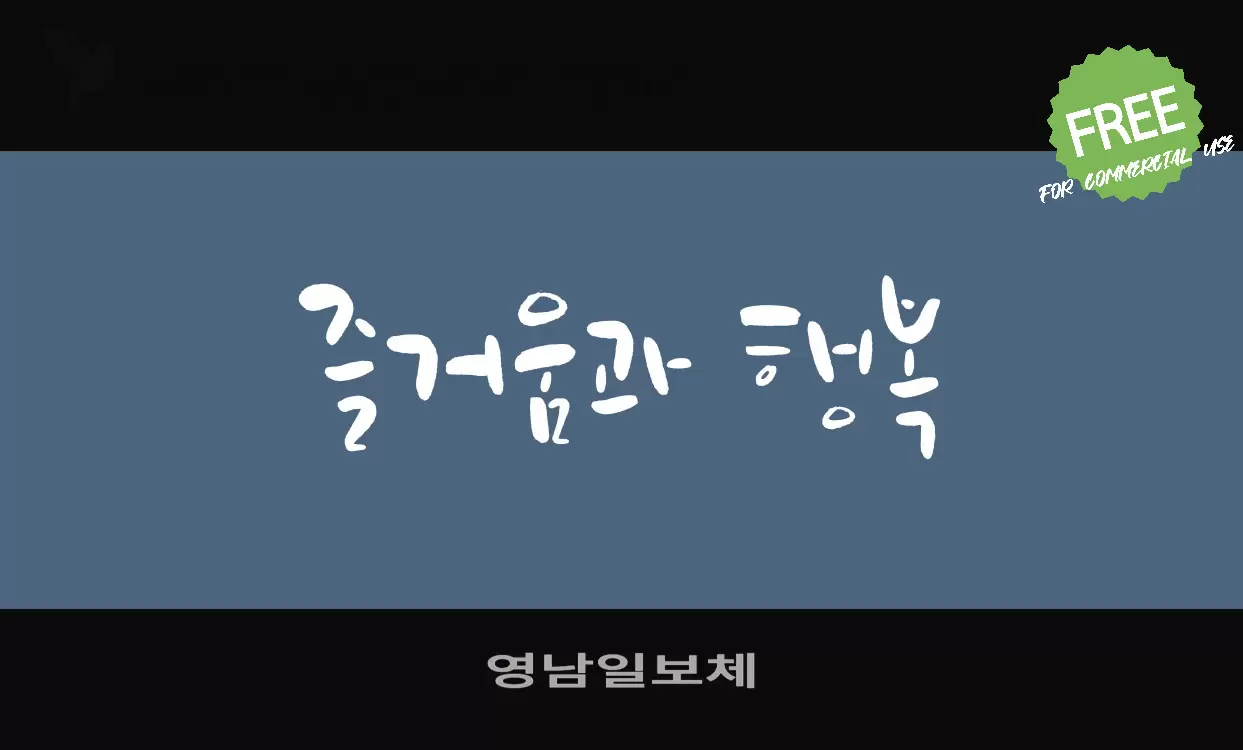 영남일보체字型