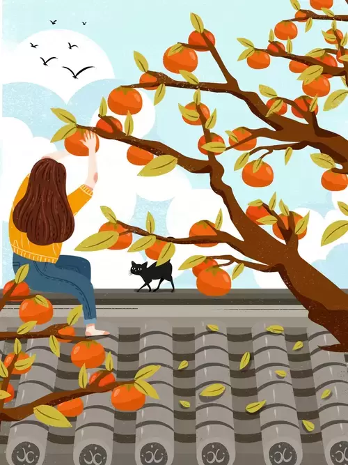 立秋-摘柿子的開心時光插圖素材