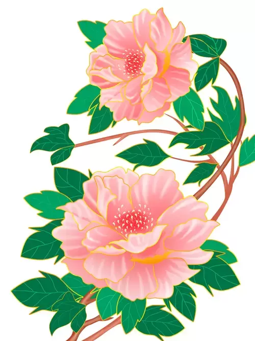 粉紅牡丹插圖素材