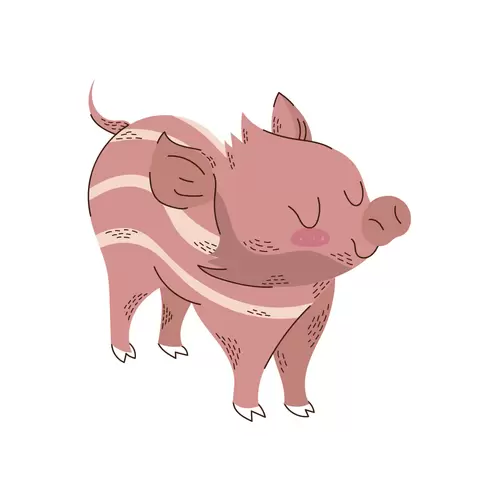 卡通動物-豬-粉色豬插圖素材